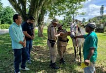 Vice-prefeito e secretários de Muniz Ferreira se reúnem com Polícia Rodoviária e defendem retirada de animais soltos nas BAs 046 e 496
