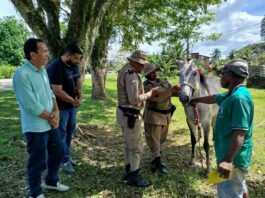 Vice-prefeito e secretários de Muniz Ferreira se reúnem com Polícia Rodoviária e defendem retirada de animais soltos nas BAs 046 e 496