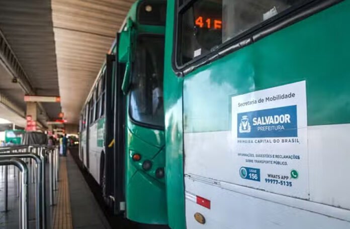 onibus