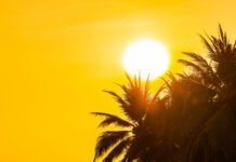 Aquecimento global chegou a 1,37°C em 2025, e planeta pode ultrapassar limite crítico de 1,5°C até 2030