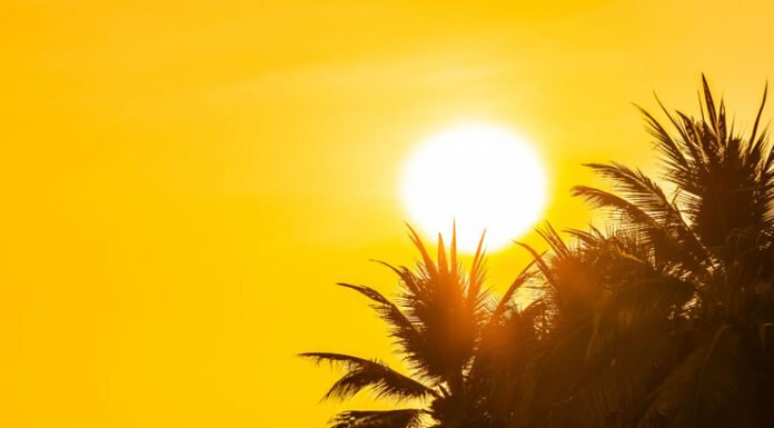 Aquecimento global chegou a 1,37°C em 2025, e planeta pode ultrapassar limite crítico de 1,5°C até 2030