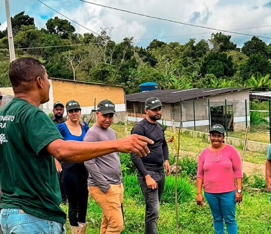 Prefeitura de São Miguel das Matas realiza curso voltado para cultura do cacau no município