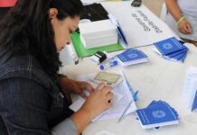 Taxa de desemprego em 5,6% repete recorde histórico, com crescimento da população ocupada em todo o país