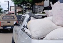 Suspeitos são presos pela Polícia Militar na BA-026 após serem encontrados com 16 sacas de cacau em grãos roubadas de uma fazenda em Varzedo; confira