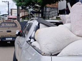 Suspeitos são presos pela Polícia Militar na BA-026 após serem encontrados com 16 sacas de cacau em grãos roubadas de uma fazenda em Varzedo; confira
