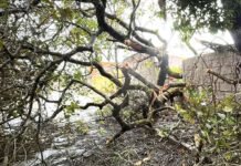 Bahia já foi atingida por mais de 73 mil raios em 48 horas e a previsão é de que temporal siga ao longo da semana; veja