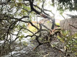Bahia já foi atingida por mais de 73 mil raios em 48 horas e a previsão é de que temporal siga ao longo da semana; veja