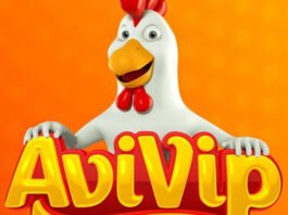Avivip eleva o padrão de qualidade e saúde: frango saboroso, nutritivo e aliado do bem-estar