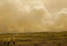 Calor já mata meio milhão de pessoas por ano, alertam cientistas