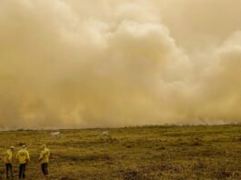 Calor já mata meio milhão de pessoas por ano, alertam cientistas