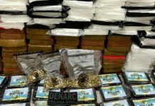 Durante operação, Polícia Civil apreende R$ 10 milhões em drogas e munições em caminhão no interior da Bahia