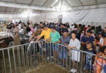 Sábado foi de grande movimento na ExpoSAJ com grande público, rodeio, shows e oportunidades de negócios