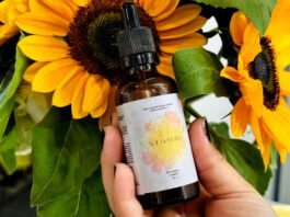 Estudantes baianas utilizam buriti e hibisco para criar bronzeador sustentável; conheça o projeto