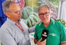 Embrapa marca presença na ExpoCruz com inovações na cultura do abacaxi e pesquisador conta novidade no estande