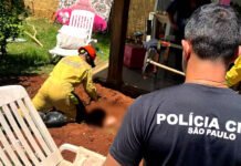 Mulher é presa suspeita de matar companheiro com golpes de tesoura e enterrar corpo no quintal em São Paulo