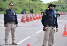 Polícia Rodoviária Federal da Bahia já registrou crescimento na quantidade de drogas encontradas nas rodovias; veja