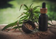 STJ adia prazo para definir regulamentação do plantio de cannabis medicinal no Brasil