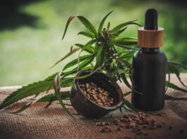 STJ adia prazo para definir regulamentação do plantio de cannabis medicinal no Brasil
