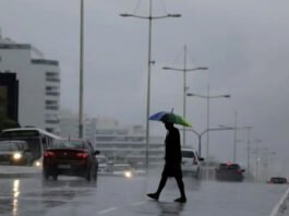 Queda de árvore e alagamentos: em menos de um dia, Salvador registra 76% do acumulado de chuva esperado