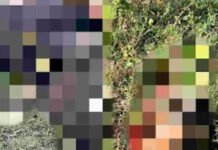 Corpos decapitados em São Félix e Maragogipe levantam suspeita de ação de facções no Recôncavo