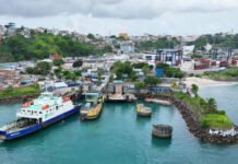Após licitações desertas, governo da Bahia vai lançar novo edital para compra de ferry até dezembro deste ano