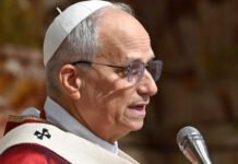 Papa Leão XIV alerta católicos de que Jesus é único Salvador e impõe limites para veneração a Maria