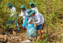 Iniciativa ambiental retira mais de três toneladas de lixo de comunidades pesqueiras na região metropolitana