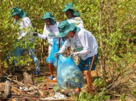 Iniciativa ambiental retira mais de três toneladas de lixo de comunidades pesqueiras na região metropolitana