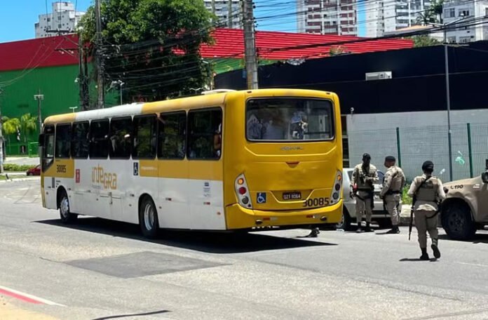 onibus