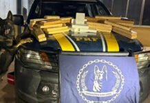 PRF encontra 34 quilos de drogas dentro de ônibus na BR-116
