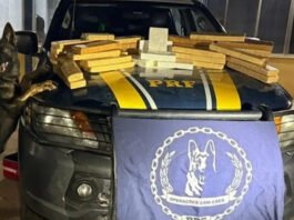 PRF encontra 34 quilos de drogas dentro de ônibus na BR-116