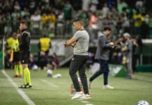 Técnico Jair Ventura analisa positivamente empate do Vitória em São Paulo e diz: ‘Anulamos o Palmeiras’