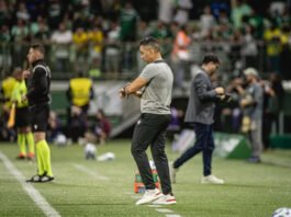 Técnico Jair Ventura analisa positivamente empate do Vitória em São Paulo e diz: ‘Anulamos o Palmeiras’
