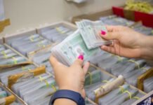Nova regra da Carteira Nacional de Habilitação prevê suspensão com 20, 30 ou 40 pontos; entenda os critérios