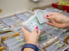 CNH renovada de graça: saiba o que é preciso para ser considerado como ‘bom condutor’; veja o que diz ministro