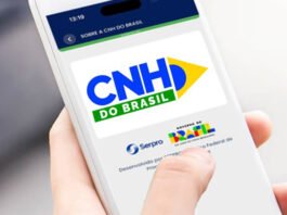 Nova CNH: mais de 10 mil brasileiros já tiraram a primeira habilitação pelo app em 2026; autoescolas vendem pacotes