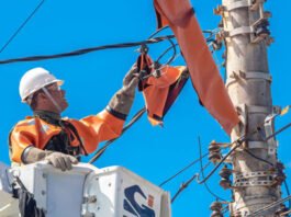 Coelba vai iniciar operação Gatonet para remover os cabos irregulares de internet e telefonia em municípios da Bahia; veja