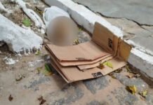 Crânio humano é encontrado no interior da Bahia e polícia investiga ligação com furto em cemitério da cidade
