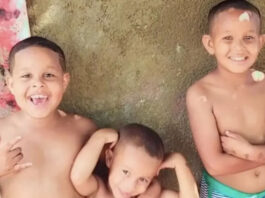 Violência doméstica: crianças são mortas a marretadas por padrasto tentando defender mãe de agressões em SP