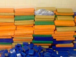 Quase uma tonelada de maconha é apreendida em casa na Região Metropolitana de Salvador; suspeitos fugiram