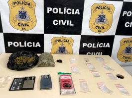 Mulher é presa em flagrante por tráfico de drogas em Santo Antônio de Jesus; porções de maconha foram apreendidas no imóvel da suspeita, diz polícia; veja