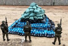 Mais de quatro toneladas de maconha do tipo ‘skunk’ são apreendidas na Bahia; material estava em propriedade rural