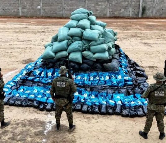 Mais de quatro toneladas de maconha do tipo ‘skunk’ são apreendidas na Bahia; material estava em propriedade rural
