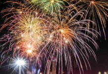 Alba: Bahia pode proibir o uso de fogos de artifício em eventos realizados com a participação ou proximidade de animais