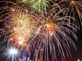 Alba: Bahia pode proibir o uso de fogos de artifício em eventos realizados com a participação ou proximidade de animais