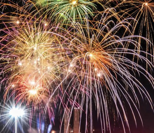 Alba: Bahia pode proibir o uso de fogos de artifício em eventos realizados com a participação ou proximidade de animais