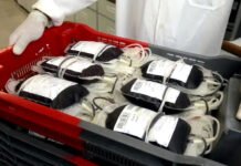 Hemoba realiza campanha de Natal que reforça o estoque de sangue na Bahia e saiba como doar na capital e no interior
