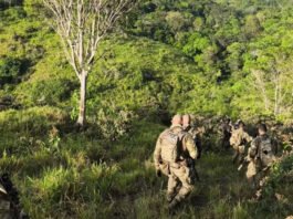 Cacique é preso e 10 armas apreendidas após operações por causa de conflitos entre produtores e indígenas