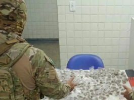 PM apreende mais de 500 porções de drogas em Tancredo Neves