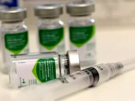 Vacina da gripe não aumenta risco da doença e Ministério da Saúde rebate informações falsas nas redes sociais